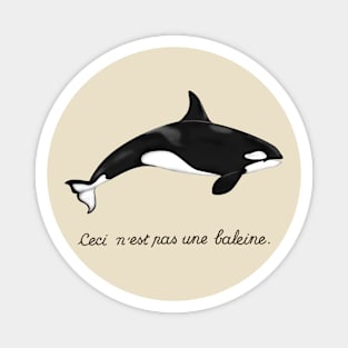 This Is Not a Whale, It's an Orca! Magnet